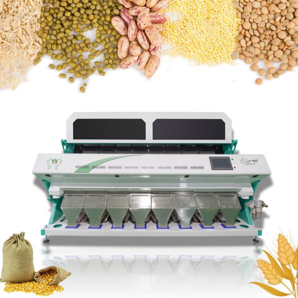 Wenyao High Sorting Accuracy Pine Nuts Color Sorter Machine Pistachios Sorting Machine