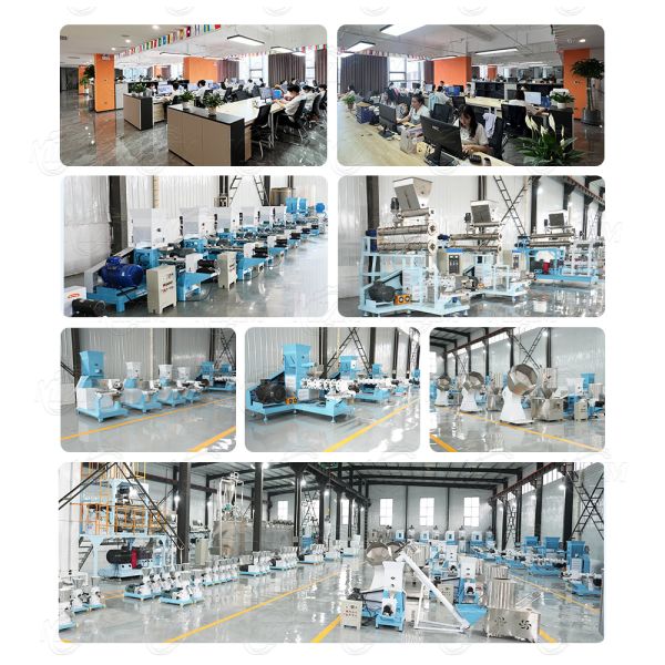 Best Small sinking Shrimp Floating Fish Feed Making Machine Extruder Machine Prices Fish Feed Extruder Manufacturing Machine