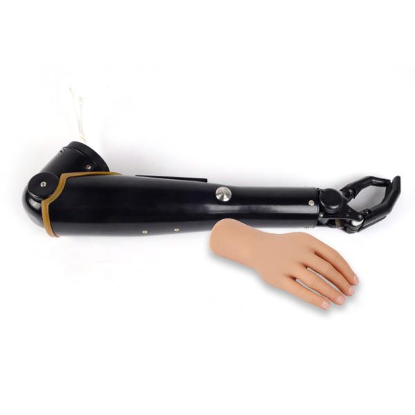 AE Two Motion Freedom Arm Myoelectric Prostheses