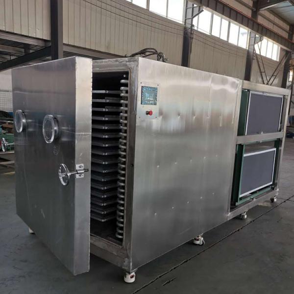 15kg/Batch Pharmaceutical Dryers PLC Fruit Freeze Drying Machine