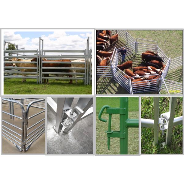 Professional Uv Proof Cattle Corral Panels With CE / ISO9001 Certificate