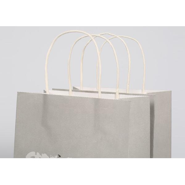 Matt Printed Custom Logo Sturdy Gift Packing Bags Recyclable With Customized Logo