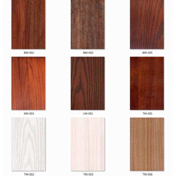 PVC Resin Color Interlocking ISO90012000 Fireproof Wall Panels