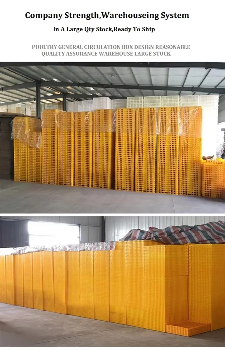 Rectangular Grid Stackable Poultry Carrier Crate Recyclable Chicken Shipping Crates