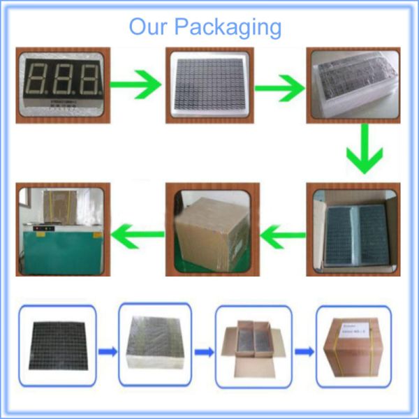 0.39 Inch 2 digit LED Seven Segment Display