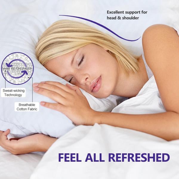 2 Pack Standard Pillows for Sleeping Soft Down Alternative 100% Polyester and Medium Support