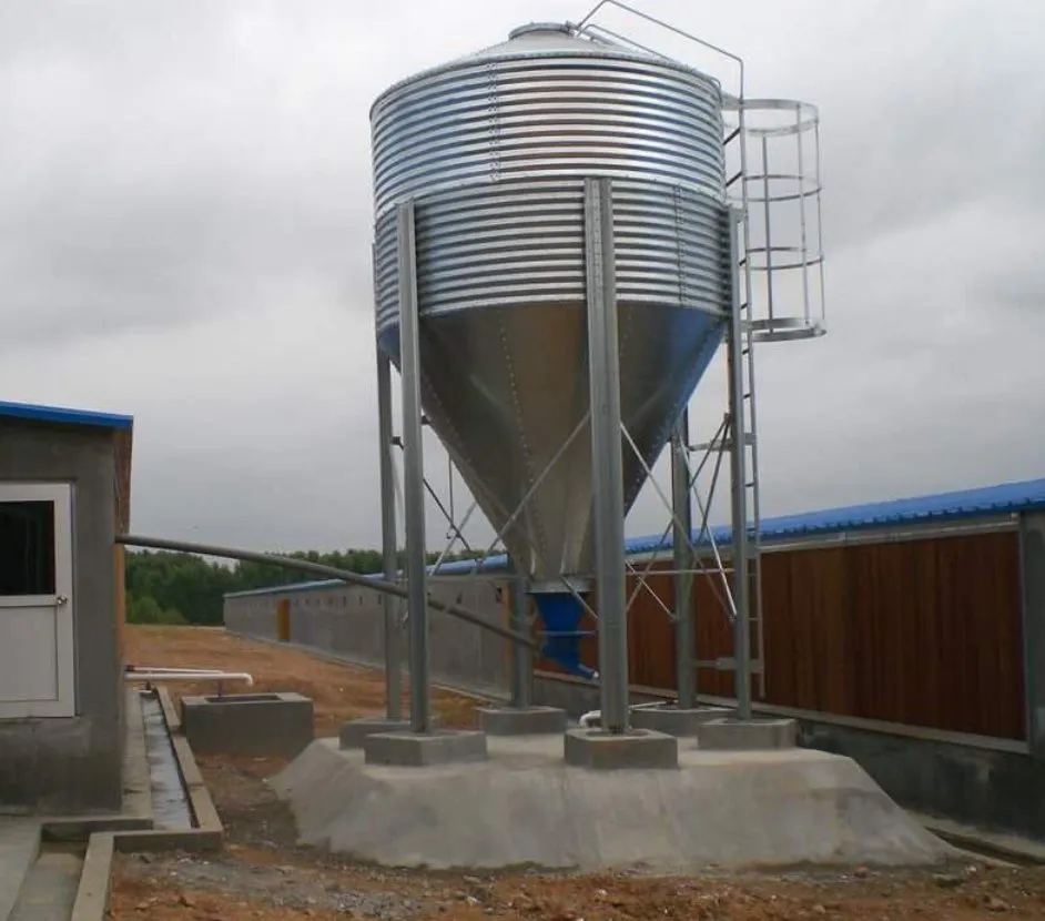 Easy Cleaning Smart Poultry Feeding And Drinking System For Chicken Broilers