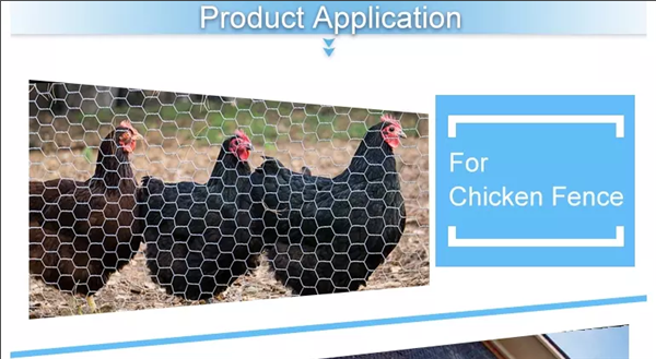 30m Length Hexagonal Wire Mesh With 13mm Mesh For Isolation