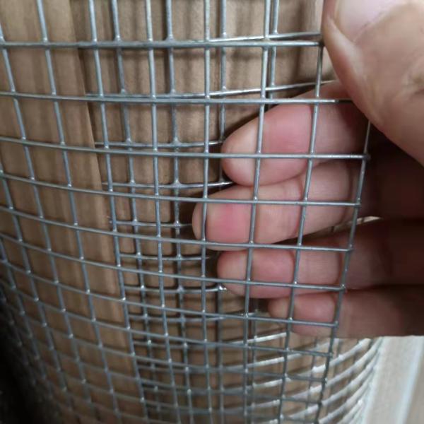 1/2 Inch Hole Size Electric Galvanized Pvc Coated Wire Mesh
