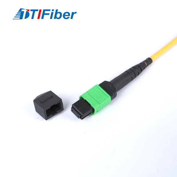 FTTH FTTA FTTX Single Mode Fiber Patch Cord 6 Core 12 Core 24 Core