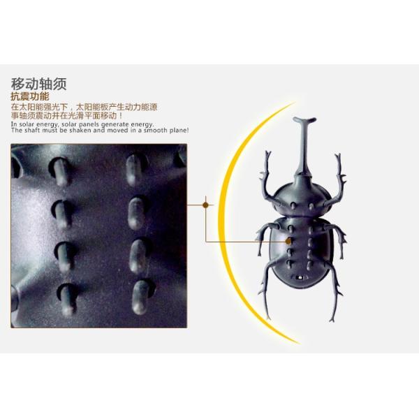 Rechargeable Solar Insect Catcher Advanced Technology for Continuous Pest Management in Farming Environments