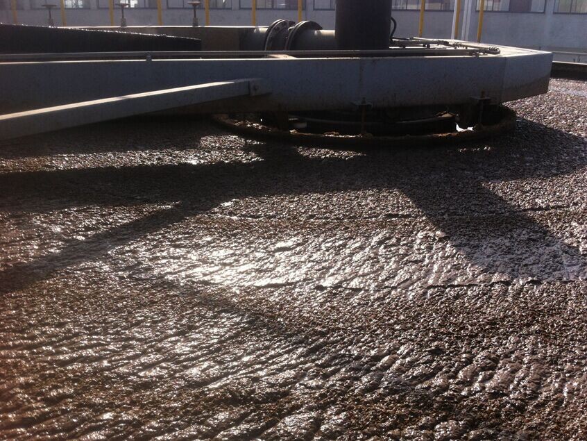 High efficiency flotation process in wastewater treatment for papermaking