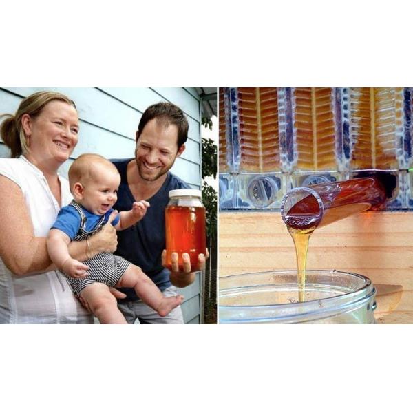 Bee Star Langstroth Flow Hive Beehive With 7 Plastic Frames Beehives And Frame For Beekeeping