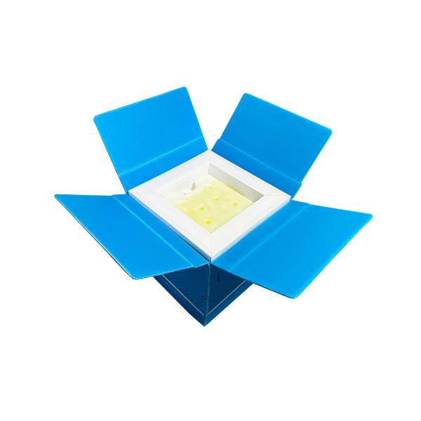 VIP Insulation Box with 72 Hours Insulation Multiple Capacities and Durable Construction for Cold Chain Transport
