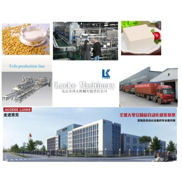 Durable Tofu Processing Machinery with 400KG Capacity and Automatic Discal Presser