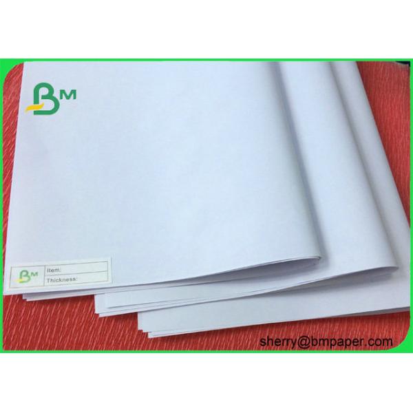 Grade AA 80gsm Copier Paper Rolls for Printing / White Printer Paper