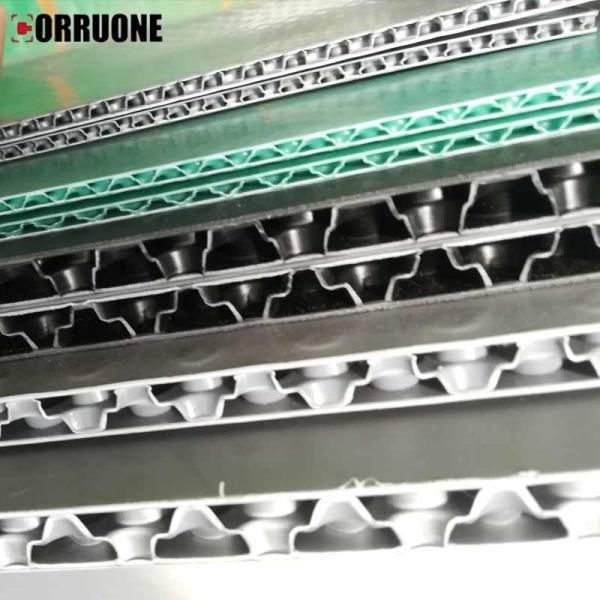 Recyclable Environmental Friendly Polypropylene PP Honeycomb Sheet with Custom Printing