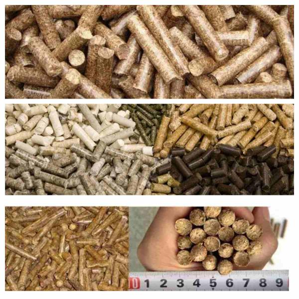 Automatic Pellet Mill Machine Biomass Wood Pellet Mill Machine Lubrication System