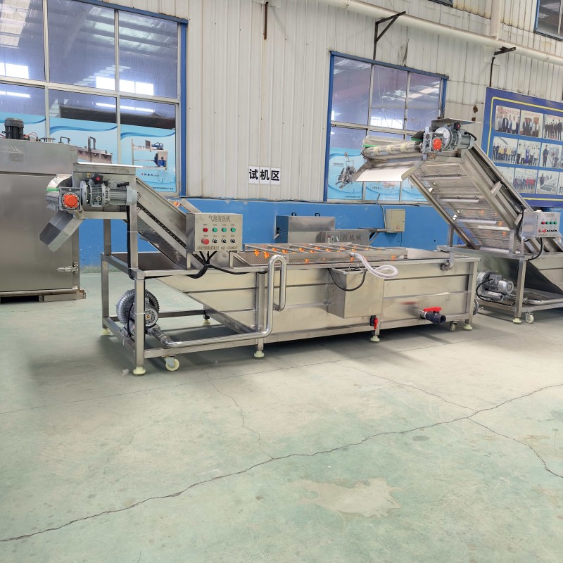 Commercial Automatic Fruit and Vegetable Washing Machine Bubble Cleaning Machine