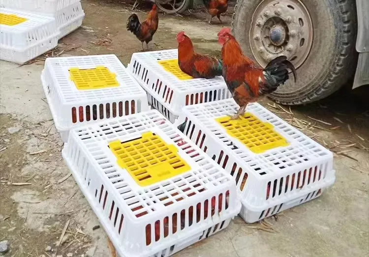 Rectangular Grid Stackable Poultry Carrier Crate Recyclable Chicken Shipping Crates