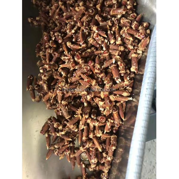 High Speed Cherry Core Pitter Olive Date Core Pitting Machine for Automatic Operation