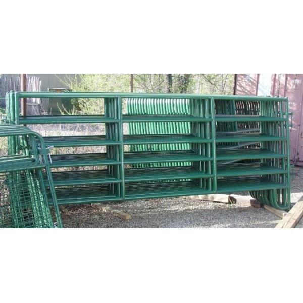 Horse Panels