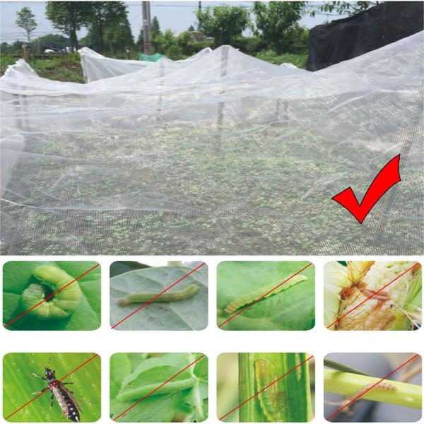 None Power Source Tree Cover Mesh Bag Protect Your Fruit from Insects Multiple Sizes