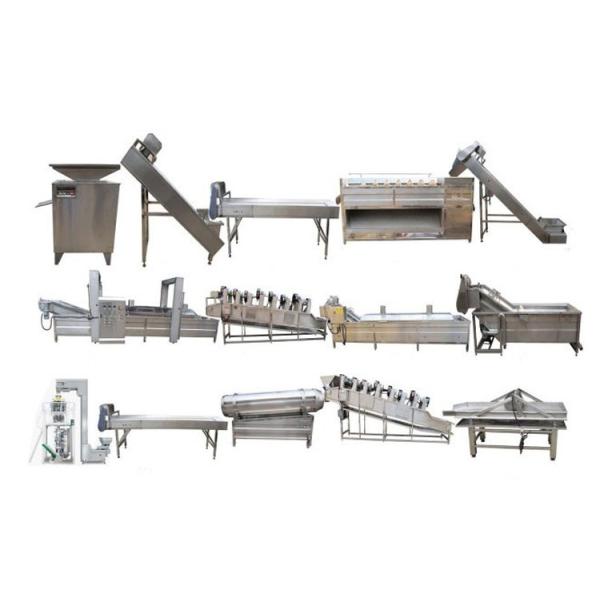 304 SUS Automatic Potato Chips Making Machine Continuous Fryer For Potato Chips