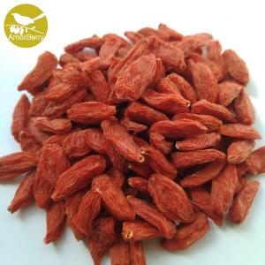 China Amorberry China NingXia dried Goji berry High Quality Organic Goji Berries Lycium Barbarum L. on sale