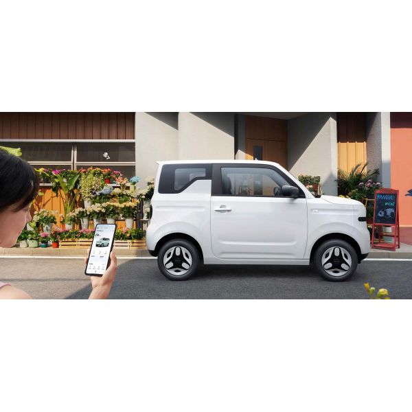 2025 Cheapest 4 Wheel Left Hand Drive Automatic Vehicles Geely Panda Small Mini Ev Electric Used New Cars Made in China for Sale