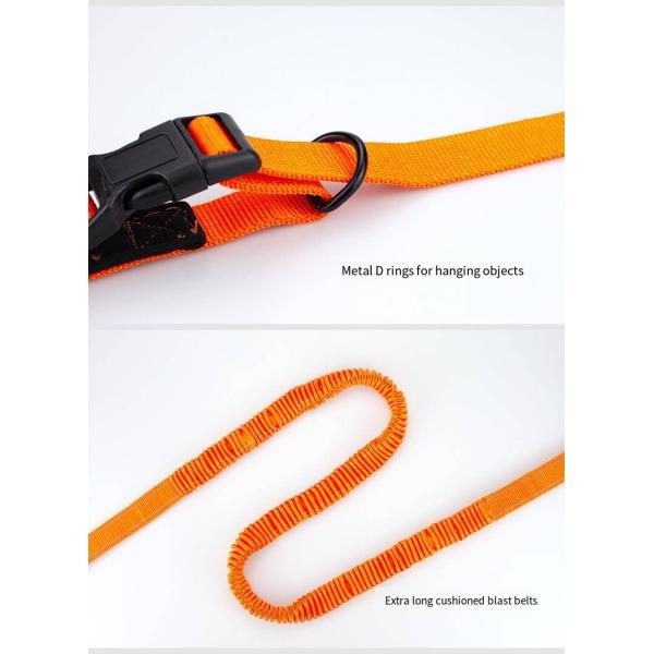 Custom Multi Functional Pet Leash Hands Free Dog Leash And Collars Set