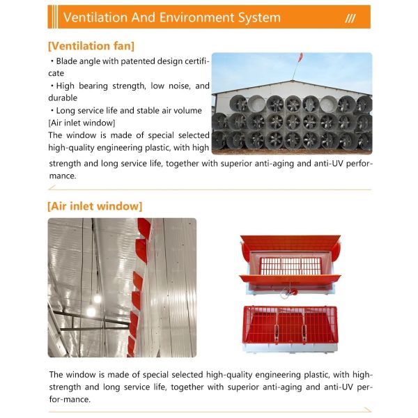Galvanized Light Steel Frames Broiler Chicken House with Low Maintenance Required and Modular/Panelized Installation Poultry Farming Equipment