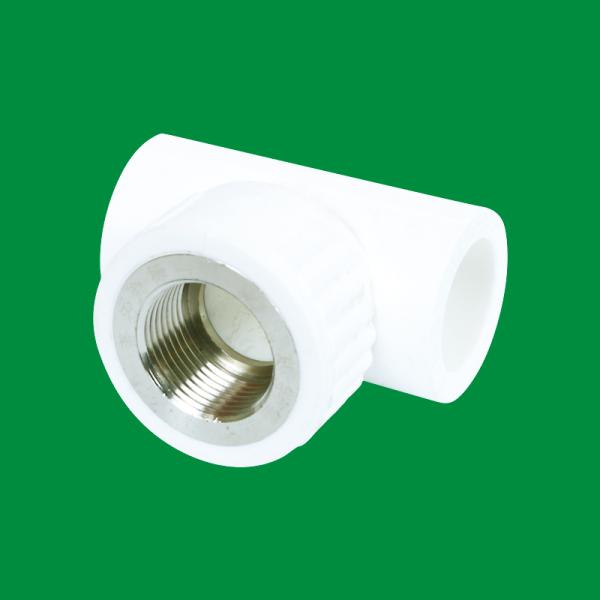 2021 Corrosion-Resistant Support Customization Ppr Tee Fitting Threaded Plastic Pipe Fittings Ppr Pipes and Fittings