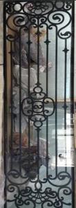 Quality 9 X 9MM Steel Bar Black Chrome Wrought  Cast Iron Glass Door 2.2M for sale