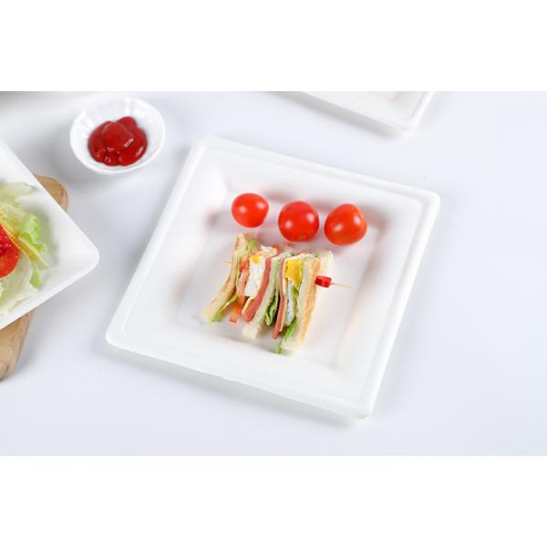 8" Compostable bagasse square dinner dessert Plates