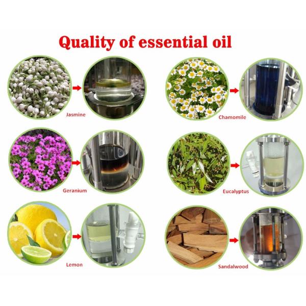 10L Water Oil Distiller for Plants Essential Oil Extraction of Ginger and Herbs