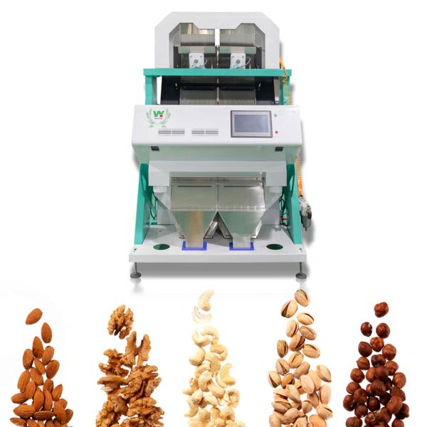 Intelligent Peacan Hazelnut Sorting Machine With NIR Camera