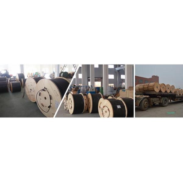 Single Mode FTTH Fiber Optic Drop Cable G.657 Indoor Outdoor 2 Core Custom Length