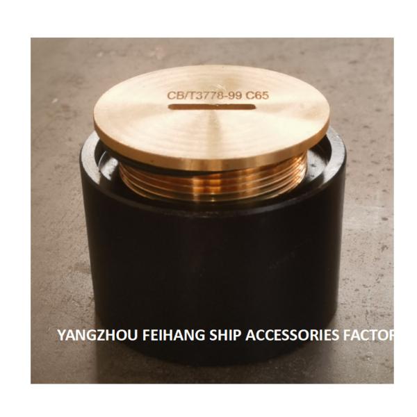 Marine Elevated Sounding Head - Ballast Tank Deck Sounding Injection Head - Ballast Tank Sounding Injection Head C65