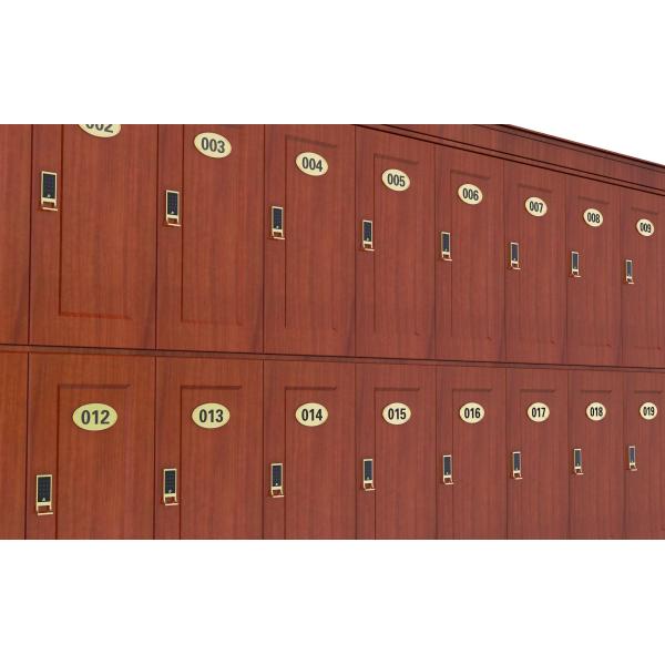 Password RFID Wrist Strap M1 Card Unlocking App Controlled Cabinet Lock