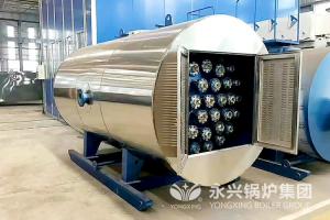 Quality Electric Heater Oil Fired Steam Boiler Stainless Steel Industrial Food Boiler for sale