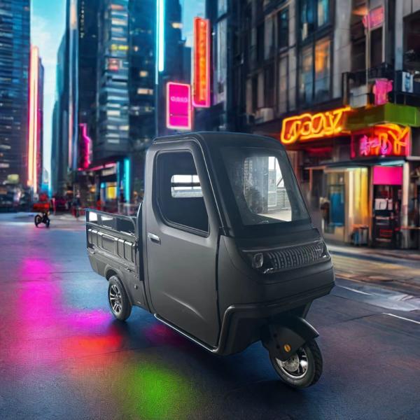 On-Road Electric Cargo Car with High Grade Ability and EEC Certification