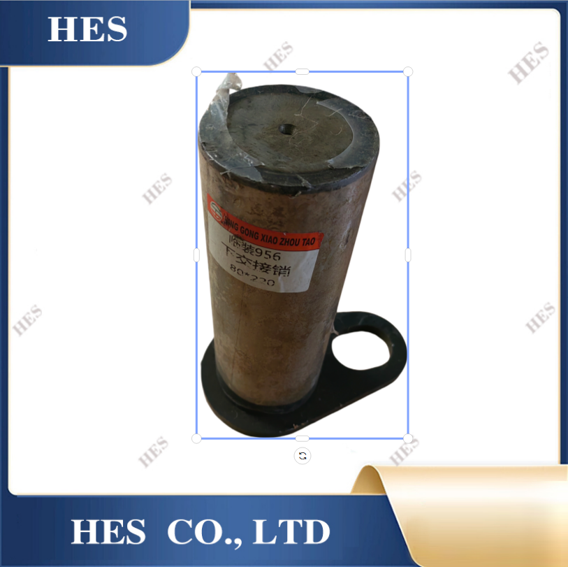 29250000161 Lower Hinge Pin