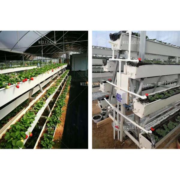 Greenhouse Plastic Hydroponic Growing Systems Vertical Cultivation Strawberry Gutters