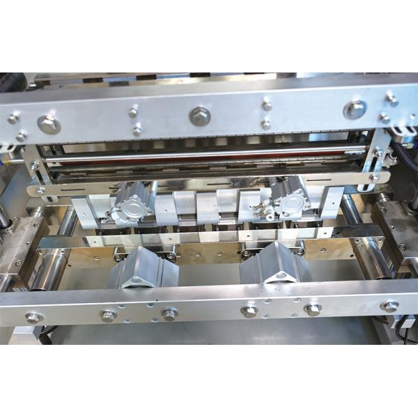Vertical Multi Lane Packing Machine for Back Seal Small Bag Glucose Electrolyte Powder