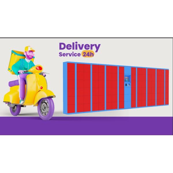 22 Inch Winnsen Package Delivery Lockers Accept Customized