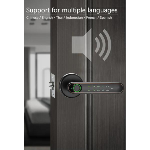 Keyless Electronic Smart Door Lock With Fingeprint Keyboard APP Mechanical Key