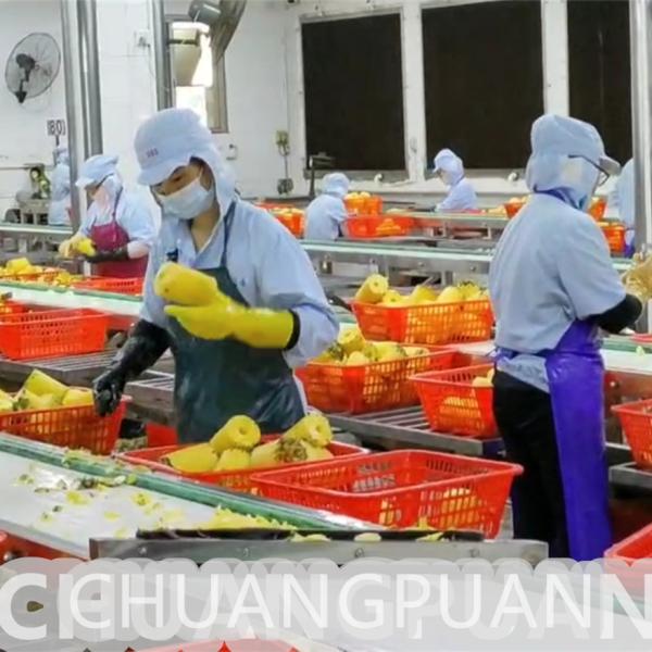 Fully Automatic PLC Control Pineapple Processing Line For Pineapple Juice Jam Canned