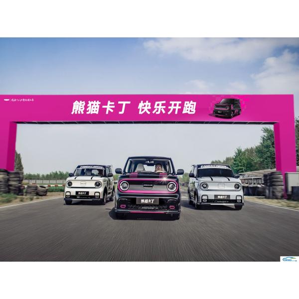 Geely Electric Car Customized Mini Hatchback System with Improved Lighting and Sensors