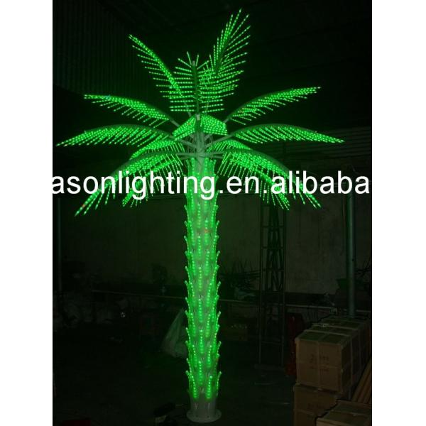 outdoor lighted palm trees